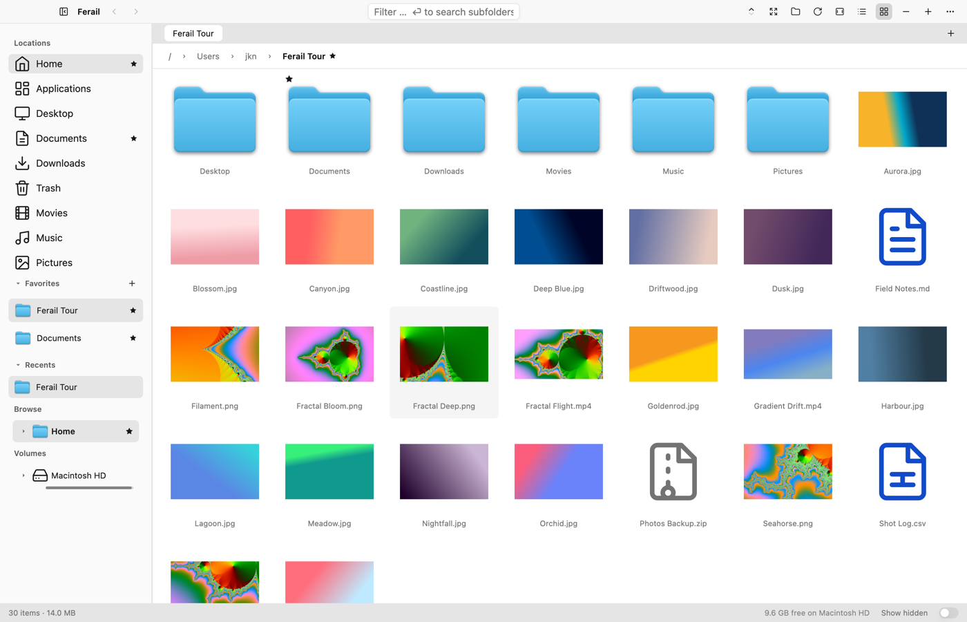 Icon grid view with large thumbnails