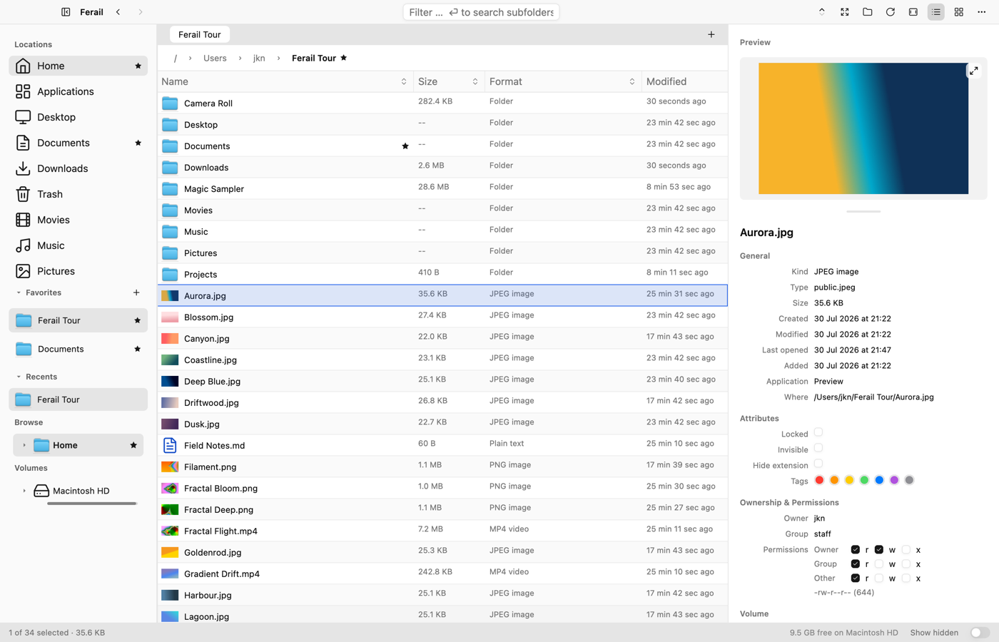 Ferail's main window: sidebar, tabs, file list and preview pane